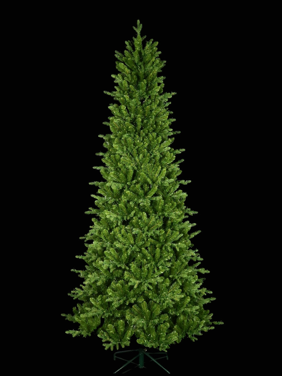 Alberta Slim Spruce 9'